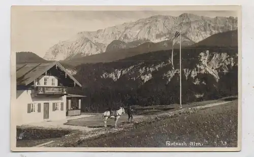 8100 GARMISCH - PARTENKIRCHEN, Partnach Alm, 1925, Packpferd