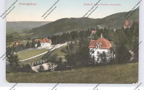 NIEDER-SCHLESIEN - GIERSDORF-SEIDORF / PODGORZYN-SOSNOWKA, Villen-Kolonie, 1910