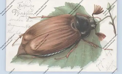 PFINGSTEN - Maikäfer auf Blatt, Lithographie