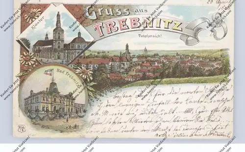 NIEDER-SCHLESIEN - TREBNITZ / TRZEBNICA, Lithographie 1898, Bad, Kloster, Totalansicht