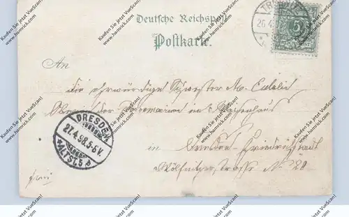 NIEDER-SCHLESIEN - TREBNITZ / TRZEBNICA, Lithographie 1898, Bad, Kloster, Totalansicht