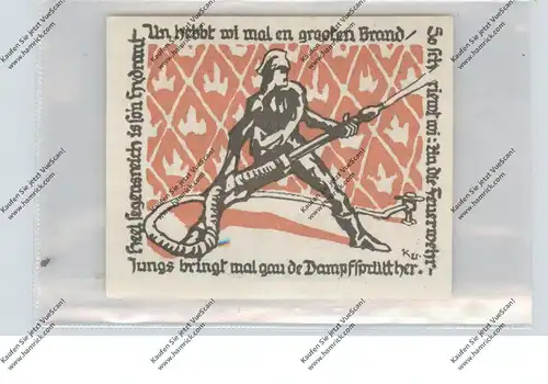 BERUFE - FEUERWEHR / Fire Brigade, Notgeldschein 1921, 45. Provinzial Feuerwehrtag
