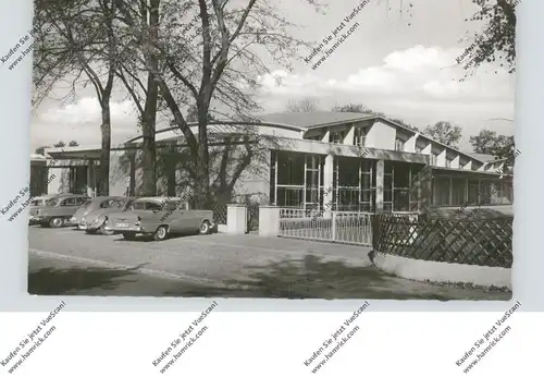 4980 BÜNDE, Stadtgarten, OPEL REKORD, VW-Käfer, FORD TAUNUS, 1962