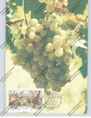 WEIN / WINE, Weintrauben Südafrika