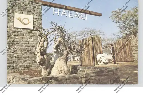 NAMIBIA / SOUTH WEST AFRICA - ETOSHA, Halali