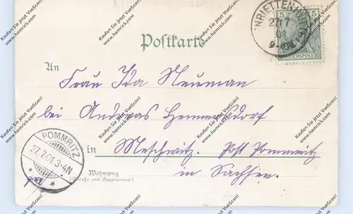 NIEDER-SCHLESIEN - PRIMKENAU / PRZEMKOW, Lithographie, Henrietten Hütte, Jägerhof, Bahnhof, Prinzen Palais...