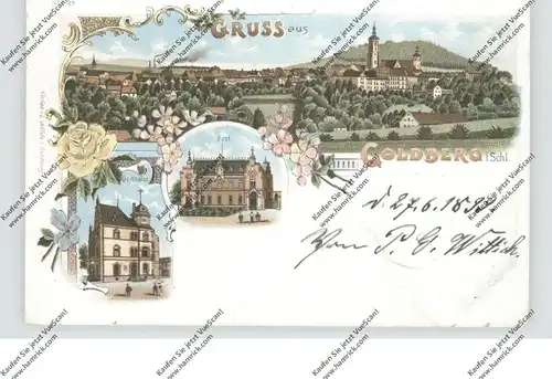 NIEDER-SCHLESIEN - GOLDBERG / ZLOTORYJA, Lithographie 1899, Kreishaus, Post, Gesamtansicht