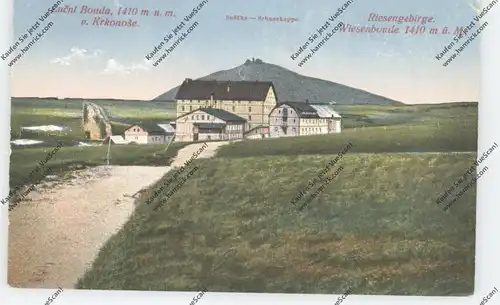 BÖHMEN & MÄHREN - PETZER / PEC POD SNEZKOU, Wiesenbaude, Schneekoppe, 1924