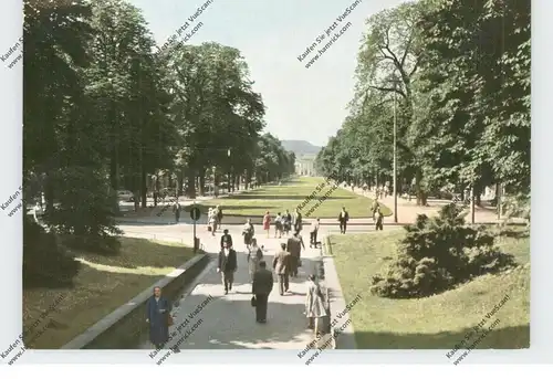 5300 BONN, Poppelsdorfer Allee vom Eisenbahntunnel aus