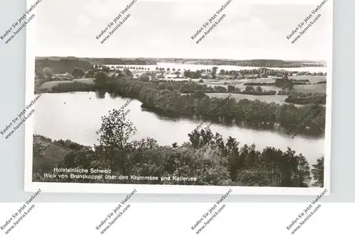 2427 MALENTE, Blick von Brunskoppel über den Krummsee und Kellersee, 1956