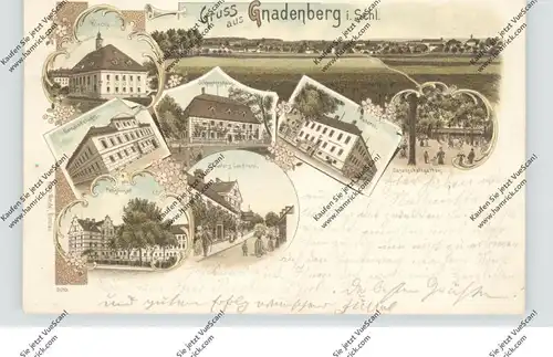 NIEDER-SCHLESIEN - GNADENBERG / GODNOW, Lithographie 1898, Treutler's Conditorei, Weberei, Pensionat...