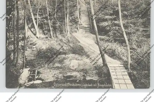OSTPREUSSEN - NEUKUHREN / PIONERSKI, Lachsbach mit Himmelsleiter, 1911