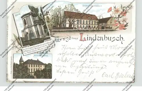 NIEDER-SCHLESIEN - ARNSDORF-WALDAU-LINDENBUSCH / MILKOWICE-ULESIE-LIPCE, Lithographie 1898