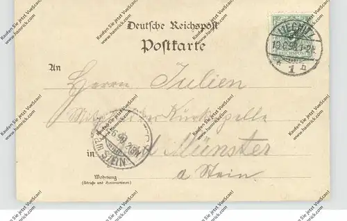 NIEDER-SCHLESIEN - ARNSDORF-WALDAU-LINDENBUSCH / MILKOWICE-ULESIE-LIPCE, Lithographie 1898