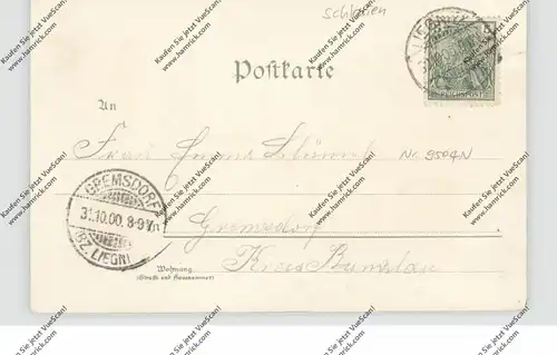 NIEDER-SCHLESIEN - LIEGNITZ / LEGNICA, Lithographie, Kleiner Ring mit Johanniskirche
