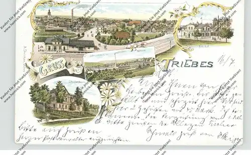 0-6570 ZEULENRODA - TRIEBES, Lithographie 1899, Jutespinnerei - Weberei, Bahnhof, Schützenhaus, Gesamtansicht