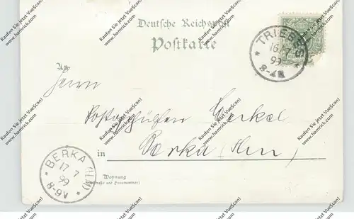 0-6570 ZEULENRODA - TRIEBES, Lithographie 1899, Jutespinnerei - Weberei, Bahnhof, Schützenhaus, Gesamtansicht
