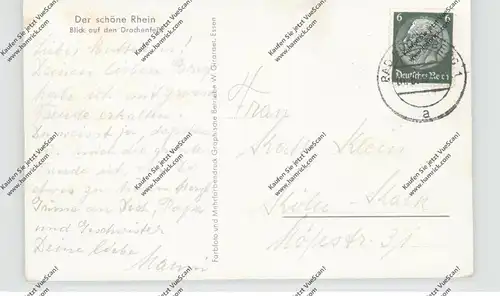5480 REMAGEN - ROLANDSWERTH, Schafherde, Blcik auf das Siebengebirge