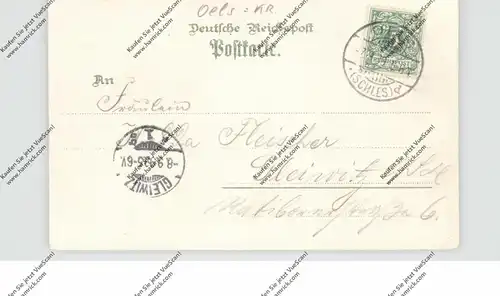 NIEDER-SCHLESIEN - OELS / OLESNICA, Lithographie 1899, Kaiserliche Post, Amts- und Landgericht, Ring, Gesamtansicht