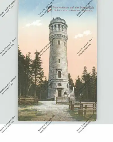 NIEDER-SCHLESIEN - WÜSTEWALTERSDORF / WALIM, Bismarckturm auf der Hohen Eule