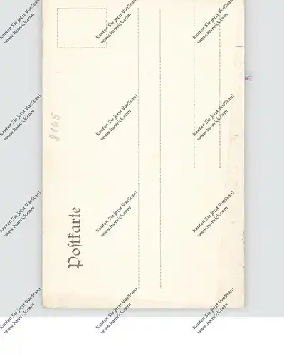 8165 FISCHBACHAU - BIRKENSTEIN, Andenken an Birkenstein, 1905