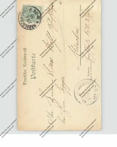 NIEDER-SCHLESIEN - HABELSCHWERDT-BAD LANGENAU / BYSTRZYCA KLODZKA, Litho 1898, Bahnhof, Kirche...