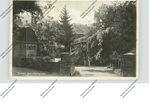 5372 SCHLEIDEN, Kurhotel Kern, Einfahrt zum Hotelgarten, kl. Eckkncik