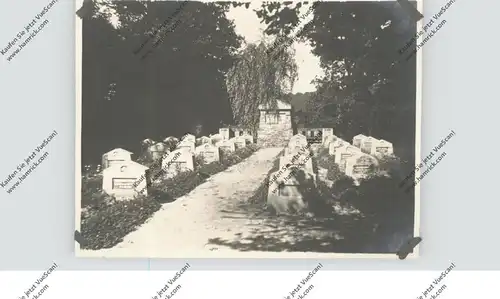 RO 555300 SIGHISOARA / SCHÄSSBURG, Siebenbürgen, Heldenfriedhof, Photo 11,5 x 9 cm