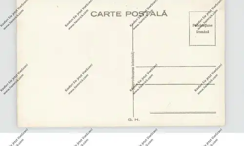 RO 550000 SIBIU / HERMANNSTADT, Siebenbürgen, Waldsee