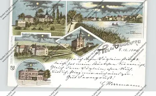 NIEDER-SCHLESIEN - PEILAU-GNADENFREI / PILAWA GORA, Lithographie, Bahnhof, Realschule, Villa Kleiner, Kirchen...