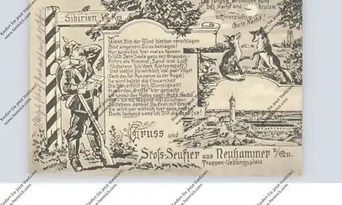 NIEDER-SCHLESIEN - NEUHAMMER Queis / SWIETOSZOW, Truppenübungsplatz, Humor, Füchse, 1916
