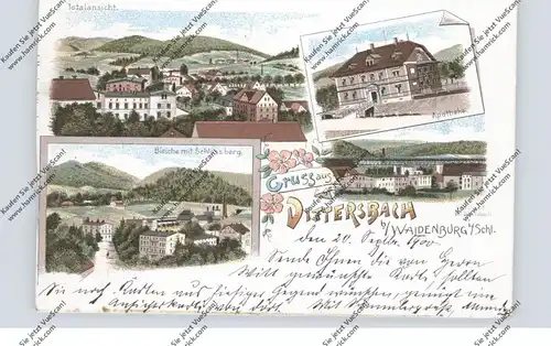 NIEDER-SCHLESIEN - DITTERSBACH / DZIETRZYCHOW, (Waldenburg), Lithographie, Apotheke, Viadukt, Bleiche..