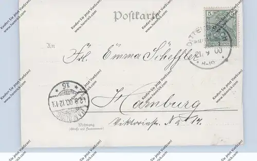 NIEDER-SCHLESIEN - DITTERSBACH / DZIETRZYCHOW, (Waldenburg), Lithographie, Apotheke, Viadukt, Bleiche..