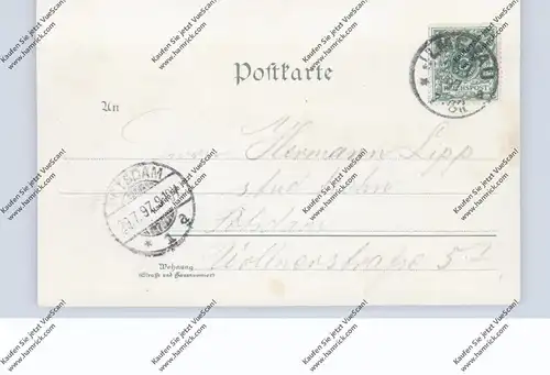 0-6300 ILMENAU, Lithographie 1897, J.V.v.Scheffel, Scheffeldenkmal, Gabelbachhaus