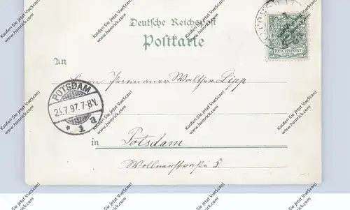 OBER-SCHLESIEN - GROSS RAUDEN / RUDY, (Ratibor), Lithographie 1897, Schloß Rauden, Waldpark, Fischerhaus...