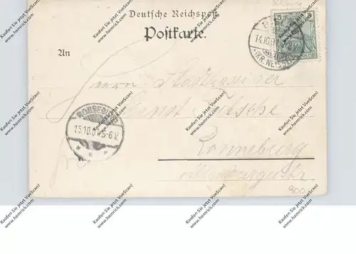 OBER-SCHLESIEN - BIELAU / BIALA NYSKA, (Neisse), Lithographie, Gutshaus, Pfarrkirche, Schloss..