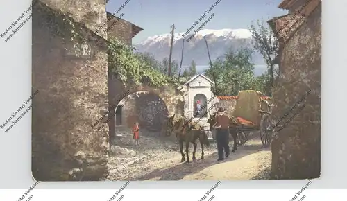 I 37... Lago die Garda, Carro d'uva a cavalli, Pferdefuhrwerk, 1911, Bayerische Bahnpost