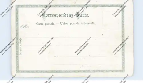 I 34100 TRIESTE, Lithographie, ca. 1900, Einriss / AF