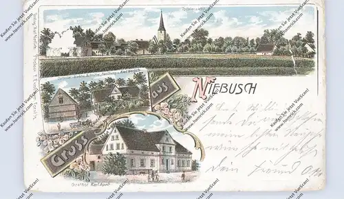 NIEDER - SCHLESIEN - BERGENWALD - NIEBUSCH, Lithographie, Gasthof, Warenhandlung, Gesamtansicht, kl. Eckmangel