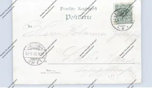 NIEDER - SCHLESIEN - LÄHN/WIEN, Lithographie 1899, Pädagogium, Wasserheilanstalt, Rathaus, Burg Lehnhaus, Gesamtansicht