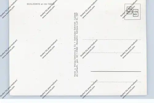 2380 SCHLESWIG, St. Petri Dom und Umgebung, Luftaufnahme