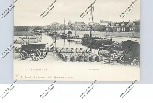 ZUID-HOLLAND - SCHEVENINGEN, Haringkade, Trenkler, ca. 1905