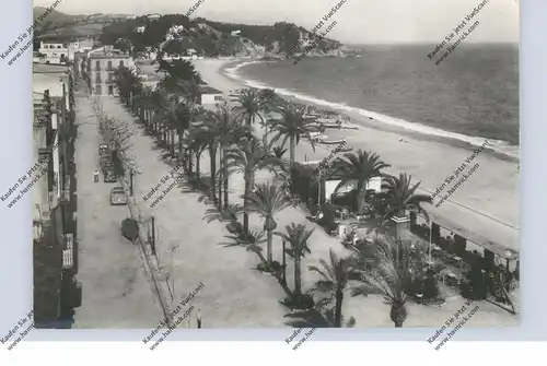 E 17310 LLORET DE MAR, Paseo Verdaguer