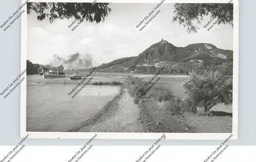 5340 BAD HONNEF - GRAFENWERTH, Blick von der Insel auf den Drachenfels, Binnenschiffe, 50er Jahre