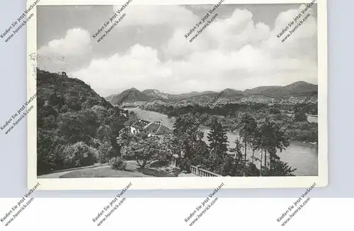 5480 REMAGEN, Blick auf Rolandseck, Rolandsbogen und Siebengebirge, 1958