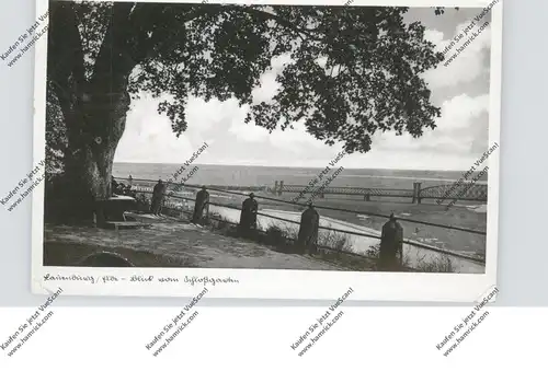 2058 LAUENBURG, Blick vom Schloßgarten, 1936, Druckstelle