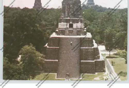 GUATEMALA - TIKAR, Maya