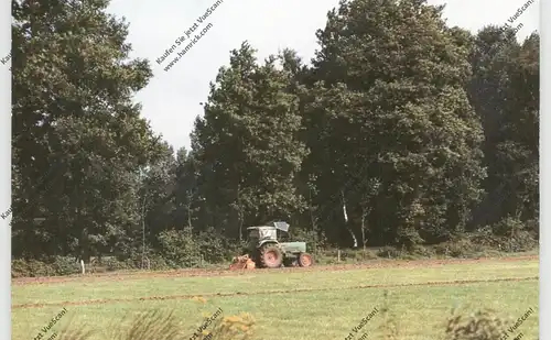 LANDWIRTSCHAFT - Traktor, Zelhem - NL
