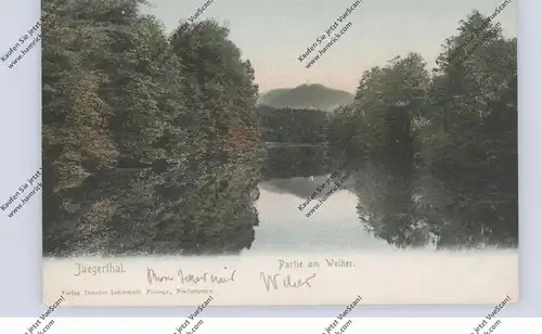 F 67100 NIEDERBRONN-LES-BAINS, BAD NIEDERBRONN, Jaegerthal, 1905