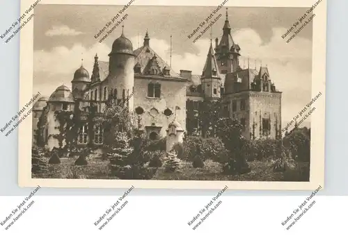 5470 ANDERNACH - NAMEDY, Burg Namedy
